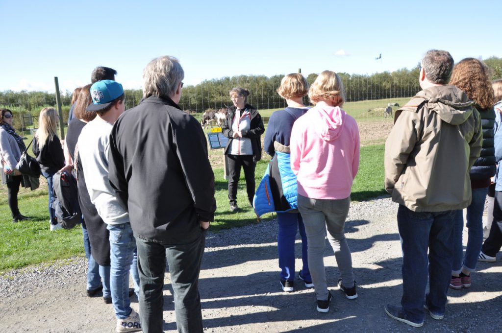 Ystad Djurpark Öppet hus