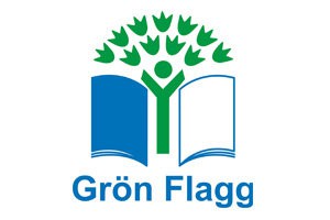 gron flagg