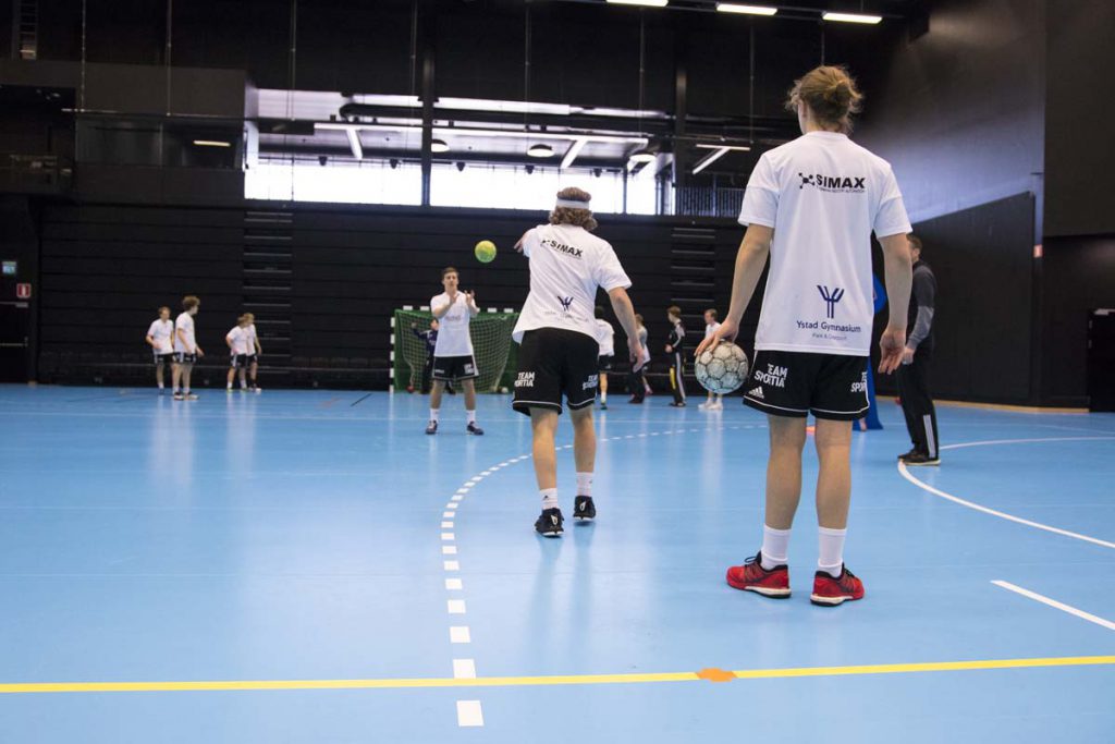 NIU_handboll_Ystad Gymnasium 2017_6