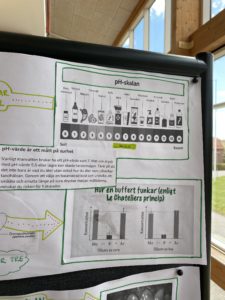 Presentation av gymnasiearbete på Naturvetenskapsprogrammet