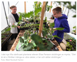 Trädgård Yrkesintroduktion IMYRK Anpassad gymnasieskola ANP.GY Ystad Gymnasium