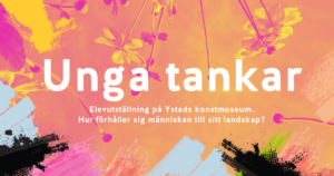 Elevutställning Ystads konstmuseum, kursen bild och form