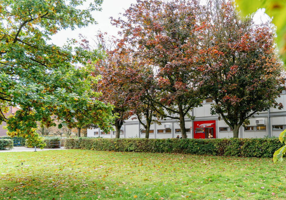_DSC4650 web