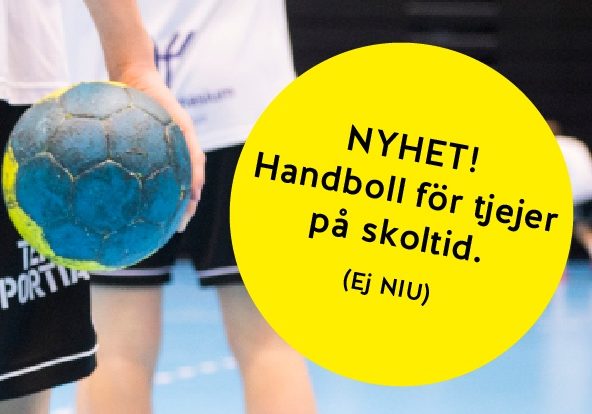 handboll tjejer ystad gymnasium