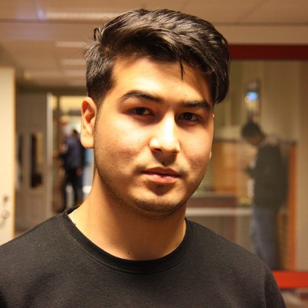 Reza Rezaie Språkintroduktion IM