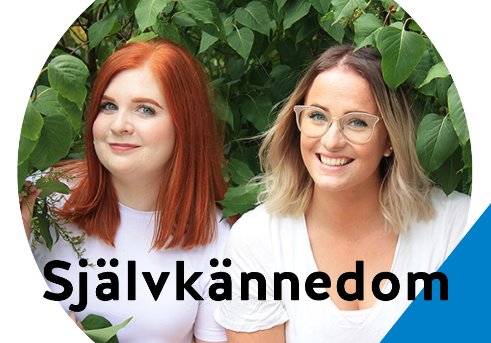 självkännedom3 självkännedom3