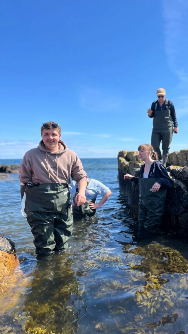TÅNGWORKSHOP 🪸🐚🌊

I våras fick årskurs 1 på Restaurang och livsmedel åka till Vårhallarna för skörda och tillaga tång! Workshopen leddes av Linnéa Sjögren @catxalot och på plats var även Frida Hejdedal @havsalgerpatallriken 🪸

#tång #alger #restaurangochlivsmedel @risselmagasinet_ystadgymnasium #ystadgymnasium
