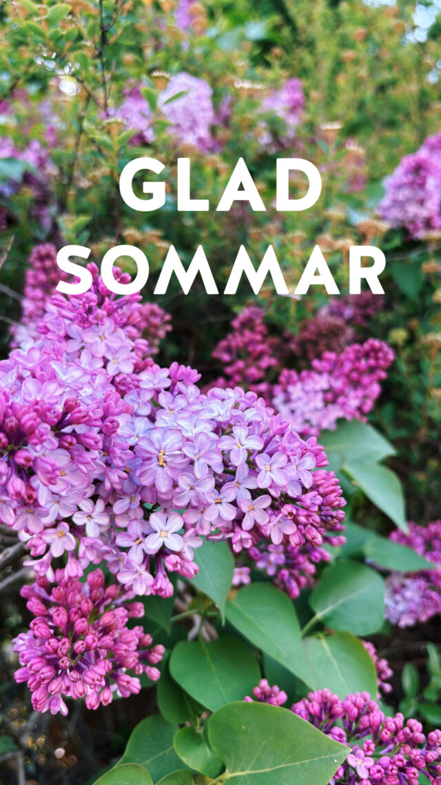 GLAD SOMMAR! 🌸🌞

Idag har vi skolavslutning och på fredag är det student 🎉 Det firar vi med en återblick från läsåret som varit. Vi ser fram emot att träffa er, och alla nya elever i augusti! 🌟